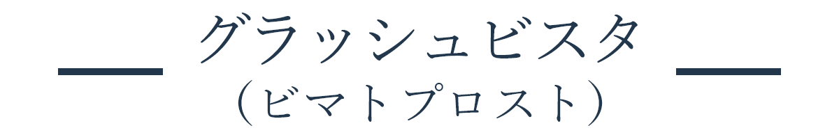 グラッシュビスタ（ビマトプロスト）